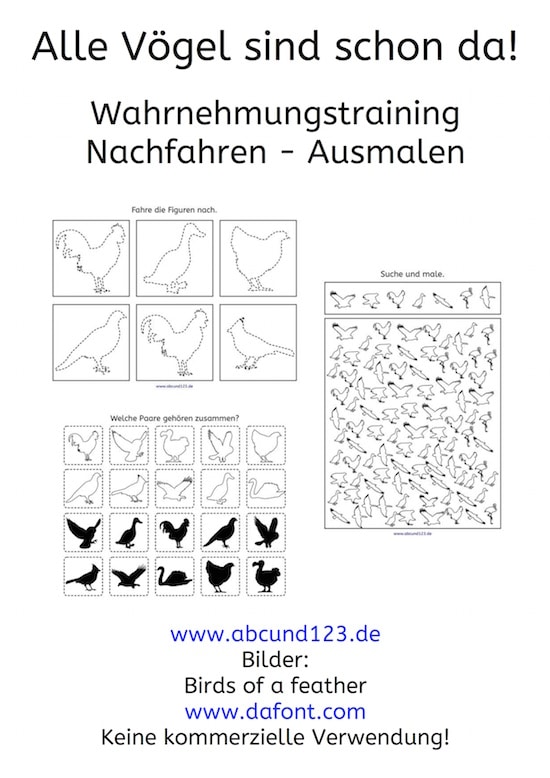 Vögel, Wahrnehmungstraining, Wahrnehmung, Download, AFS-Methode, Stephany Koujou, Koujou, Legasthenie, Legasthenietraining, Dyskalkulie, Dyskalkulietraining